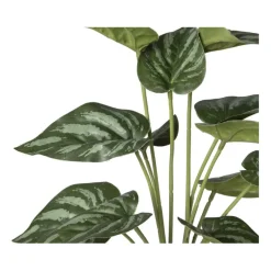 Xenos Kunstplanten-Kunstplant syngonium - 36 cm