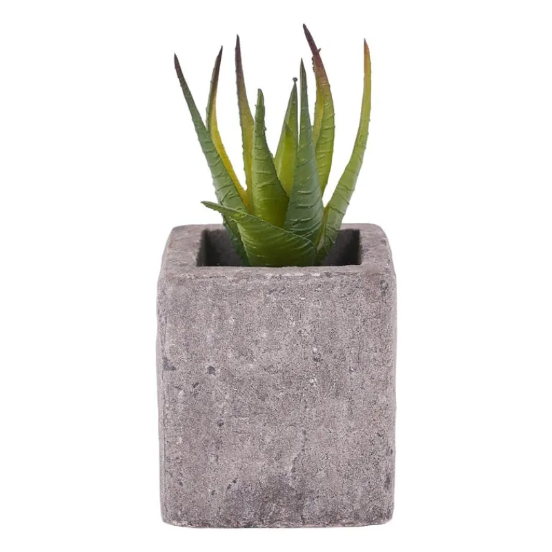 Xenos Kunstplanten-Kunstplantje in pot met magneet - diverse varianten