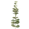 Xenos Kunstbloemen-Kunsttak eucalyptus - groen - 40.5 cm