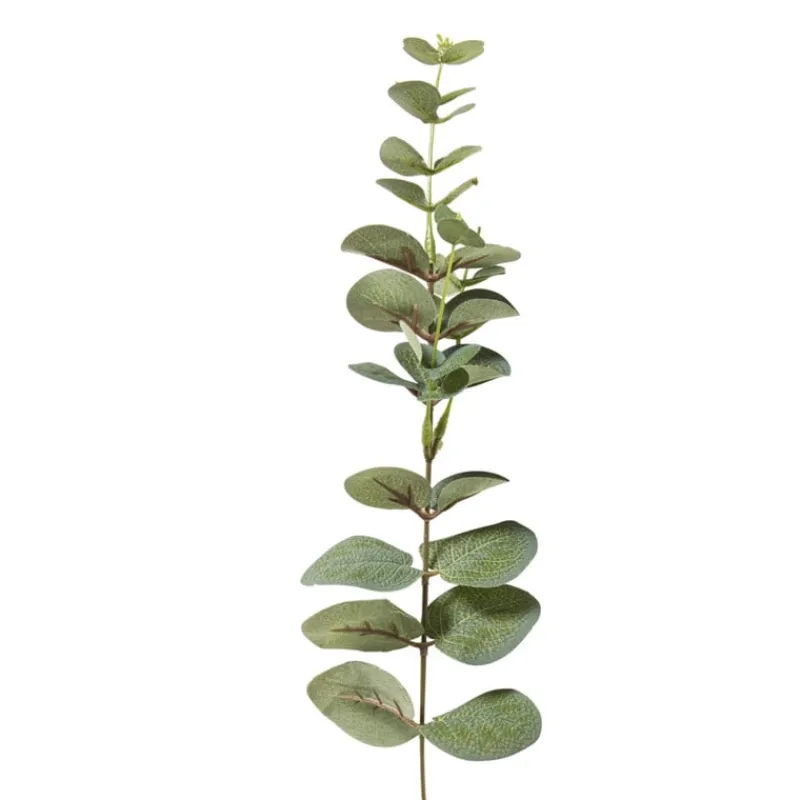 Xenos Kunstbloemen-Kunsttak eucalyptus - groen - 40.5 cm