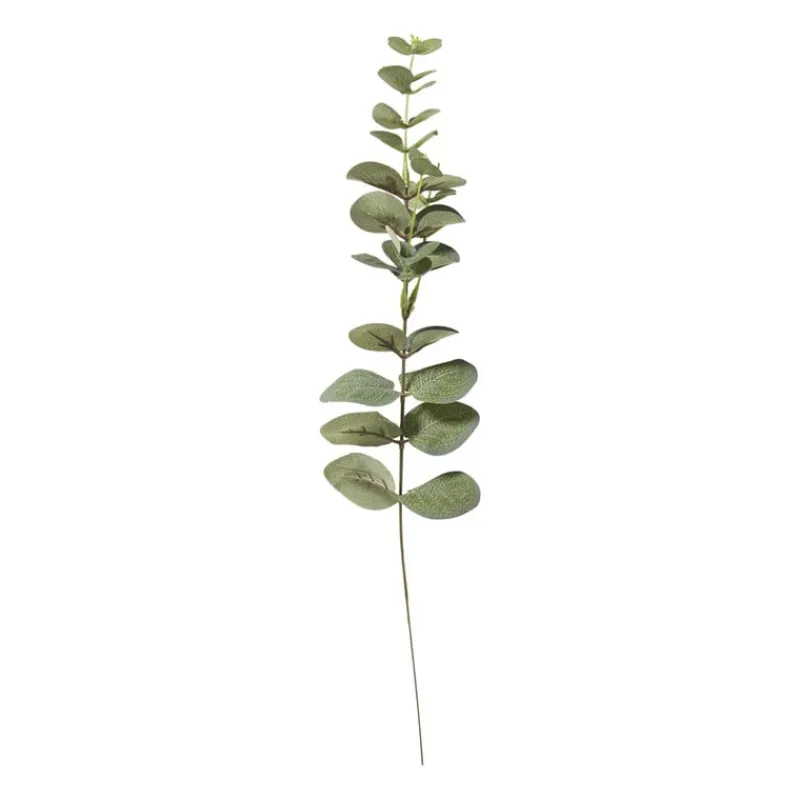 Xenos Kunstbloemen-Kunsttak eucalyptus - groen - 40.5 cm