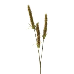 Xenos Kunstbloemen-Kunsttak graan - groen - 63 cm