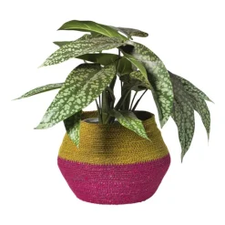 Xenos Manden|Manden-Mand colorblock - roze/geel - ø20x25 cm