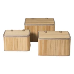 Xenos Manden|Manden-Opbergmand met deksel Oscar - 22x26x36 cm - naturel