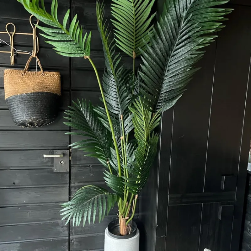 Xenos Kunstplanten-Palm kunstplant xl - 170 cm