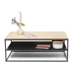 Xenos Kunstbloemen-Pampasgras - 100 cm - set van 3