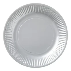 Xenos Wegwerpservies-Papieren bordjes - zilverkleurig - set van 8
