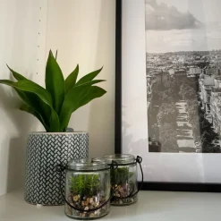 Xenos Kunstplanten-Plantje in glas - ø6x6.7 cm