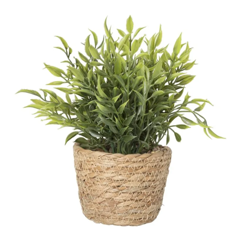 Xenos Kunstplanten-Plantje in rieten mand - spits blad - ø10x19 cm