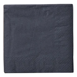 Xenos Papieren Servetten|Servetten-Servetten zwart - 24x24 cm - set van 20