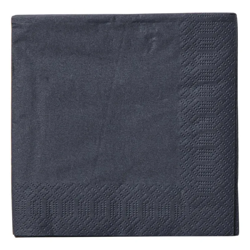 Xenos Papieren Servetten|Servetten-Servetten zwart - 24x24 cm - set van 20