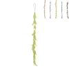 Xenos Slingers-Veren slinger - 70 cm - diverse varianten