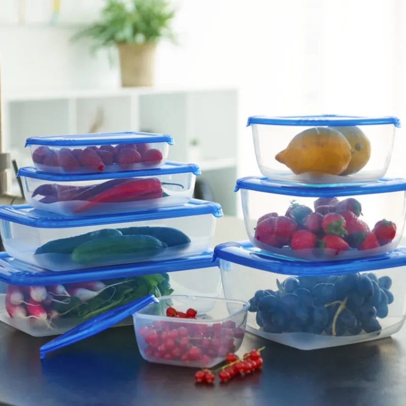 Xenos Bewaardozen-Vershoudbakje polar - 450 ml - 4x16.5x10.8 cm