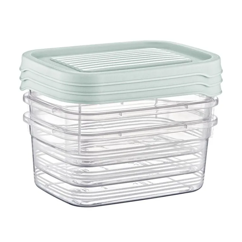 Xenos Bewaardozen-Vershoudbakjes - 500 ml - set van 3