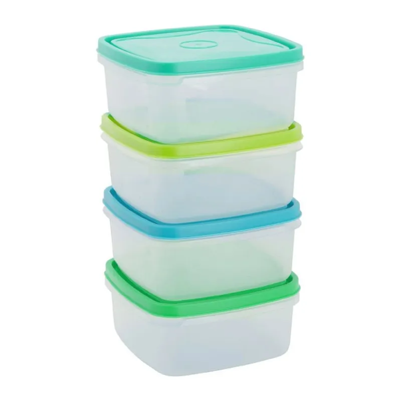 Xenos Bewaardozen-Vershoudbakjes van plastic - 250 ml - set van 4