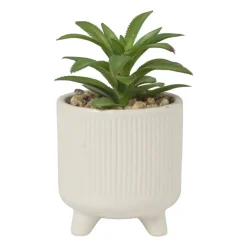 Xenos Kunstplanten-Vetplantje in pot - beige - ø8x15 cm