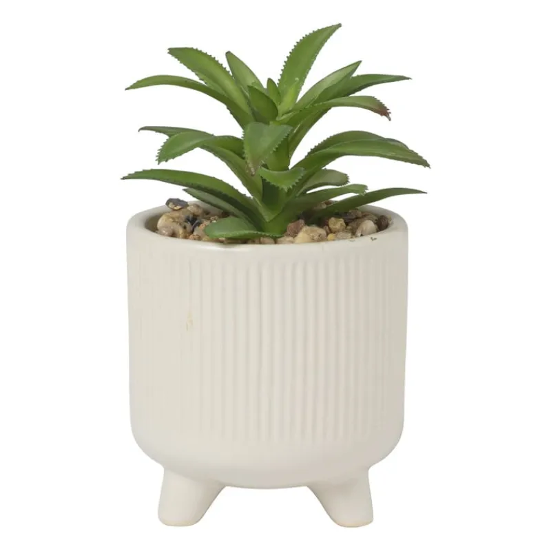 Xenos Kunstplanten-Vetplantje in pot - beige - ø8x15 cm