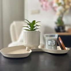 Xenos Kunstplanten-Vetplantje in pot - beige - ø8x15 cm