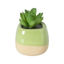 Xenos Kunstbloemen-Vetplantje in pot - oranje - 8x6.5x6.5 cm