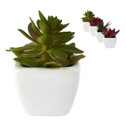 Xenos Kunstplanten-Vetplantjes - klein in pot - diverse varianten