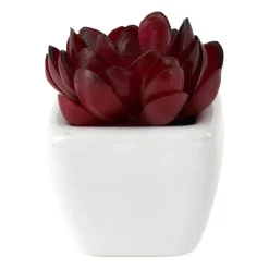 Xenos Kunstplanten-Vetplantjes - klein in pot - diverse varianten