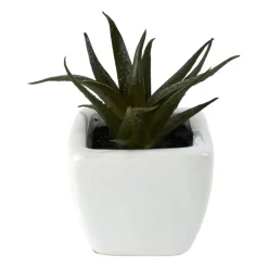 Xenos Kunstplanten-Vetplantjes - klein in pot - diverse varianten