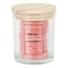 Xenos Waxmelts-Waxmelts in pot - dark hibiscus - set van 6